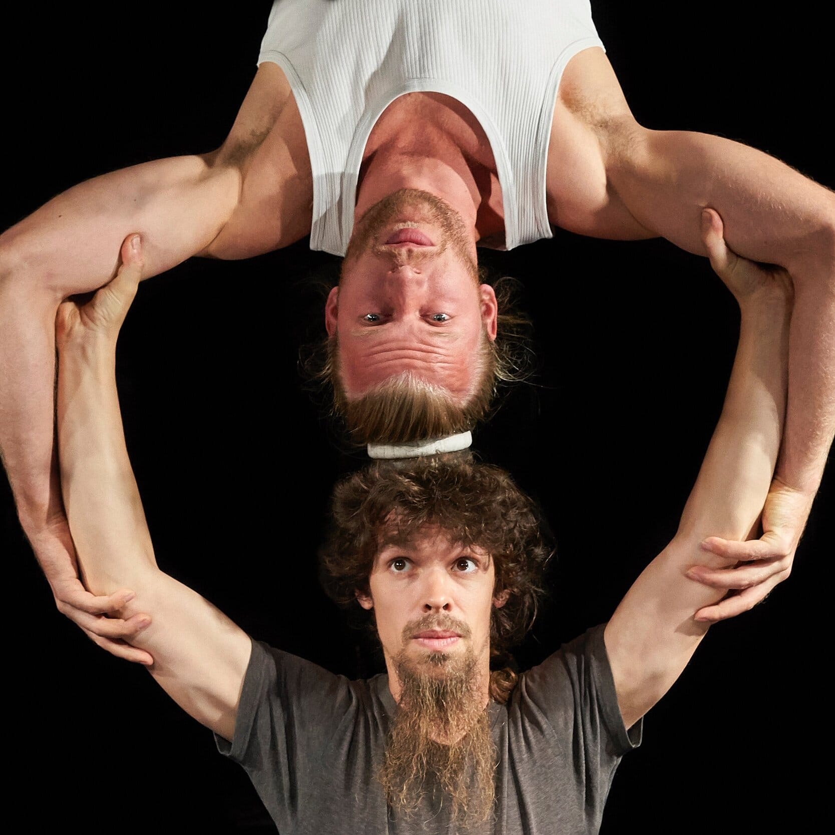 100procentcirkus